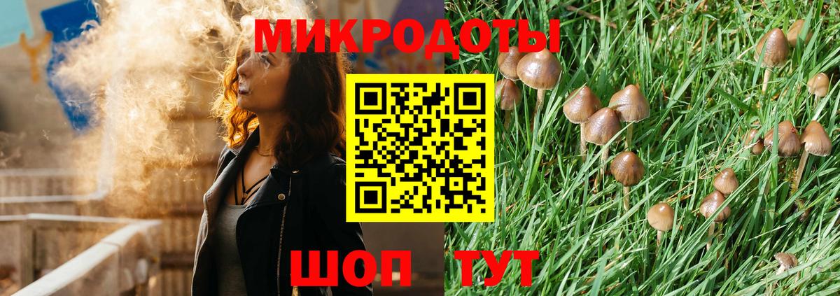 Волгодонск  Псилоцибиновые грибы Cubensis  Псилоцибиновые грибы GOLDEN TEACHER  Вход с VPN 