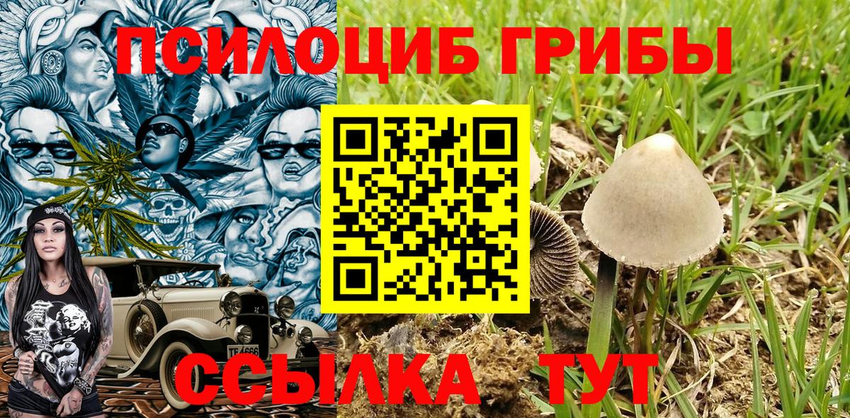 Псилоцибиновые грибы мицелий Волгодонск